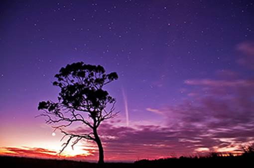 Intro_Dawn-Comet-Peramangk-Skies